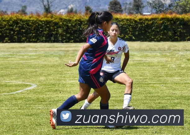 一号娱乐服务体系